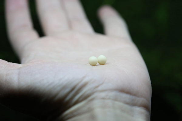 Tiny 6mm Pearl Earrings