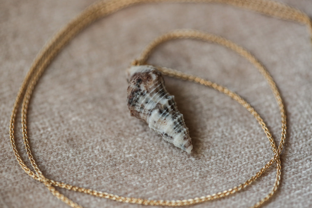 Spiral Seashell Pendant